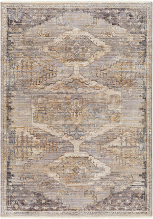 Aida AAD-2303 8'10" x 13' Machine Woven Rug AAD2303-81013  Beige, Gray, Tan, Ivory, Medium Gray Surya