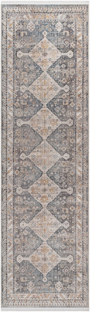 Livabliss Aida Machine Woven Turkish Area Rug with Fringe Detail for Entryways and Hallways Medium Gray, Gr 2'7" x 9' AAD2305-279