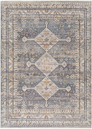 Aida AAD-2305 8'10" x 13' Machine Woven Rug AAD2305-81013  Medium Gray, Gray, Beige, Charcoal, Tan Surya