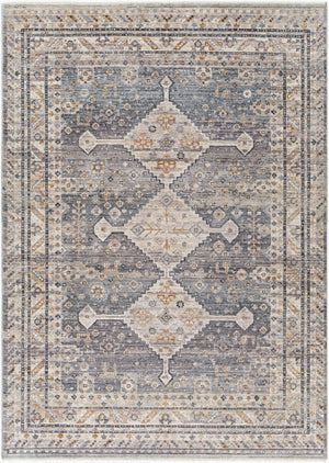 Livabliss Aida Machine Woven Turkish Area Rug with Fringe Detail for Entryways and Hallways Medium Gray, Gr 7'10" x 9'8" AAD2305-71098