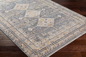 Livabliss Aida Machine Woven Turkish Area Rug with Fringe Detail for Entryways and Hallways Medium Gray, Gr 7'10" x 9'8" AAD2305-71098