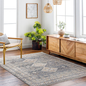 Livabliss Aida Machine Woven Turkish Area Rug with Fringe Detail for Entryways and Hallways Medium Gray, Gr 7'10" x 9'8" AAD2305-71098