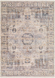 Aida AAD-2307 8'10" x 13' Machine Woven Rug AAD2307-81013  Beige, Medium Gray, Tan, Ivory, Deep Teal, Charcoal Surya