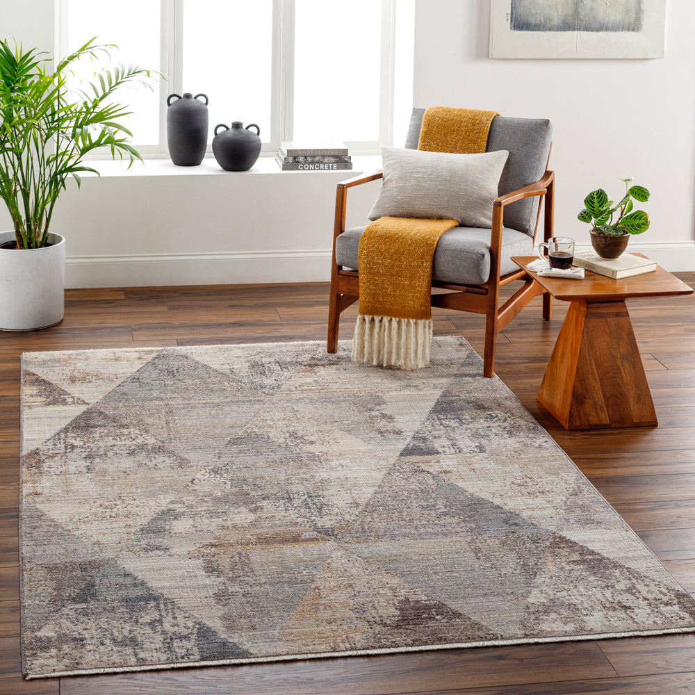 Aida AAD-2308 8'10" x 13' Machine Woven Rug AAD2308-81013  Beige, Gray, Tan, Ivory, Medium Gray Surya