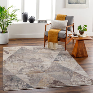 Aida AAD-2308 8'10" x 13' Machine Woven Rug AAD2308-81013  Beige, Gray, Tan, Ivory, Medium Gray Surya