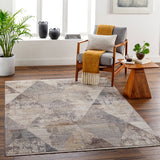 Aida AAD-2308 8'10" x 13' Machine Woven Rug AAD2308-81013  Beige, Gray, Tan, Ivory, Medium Gray Surya