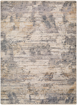 Aida AAD-2309 8'10" x 13' Machine Woven Rug AAD2309-81013  Beige, Ivory, Gray, Charcoal, Medium Gray, Tan Surya