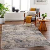 Aida AAD-2309 8'10" x 13' Machine Woven Rug AAD2309-81013  Beige, Ivory, Gray, Charcoal, Medium Gray, Tan Surya