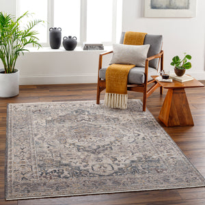 Aida AAD-2311 8'10" x 13' Machine Woven Rug AAD2311-81013  Beige, Medium Gray, Tan, Ivory, Deep Teal, Charcoal Surya