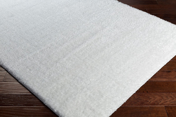 Livabliss Alaska Shag Square Machine Woven Polyester Rug Glam Modern Plush Pile Bedroom Accent AAS2301-710RD