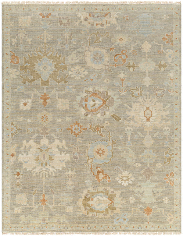 Antalya AAT-2300 9' x 12' Handmade Rug AAT2300-912  Tan, Beige, Light Brown, Gray, Blue Surya