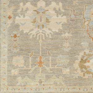 Antalya AAT-2300 9' x 12' Handmade Rug AAT2300-912  Tan, Beige, Light Brown, Gray, Blue Surya