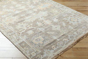 Antalya AAT-2301 9' x 12' Handmade Rug AAT2301-912  Tan, Sage, Brown, Dark Brown, Metallic Silver, Light Brown Surya