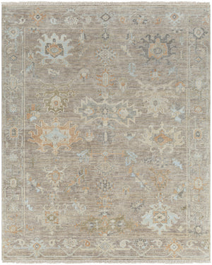 Antalya AAT-2301 9' x 12' Handmade Rug AAT2301-912  Tan, Sage, Brown, Dark Brown, Metallic Silver, Light Brown Surya