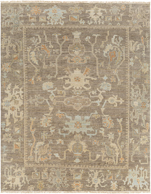Antalya AAT-2303 9' x 12' Handmade Rug AAT2303-912  Dark Brown, Off-White, Dusty Sage, Brown, Medium Brown, Gray Surya