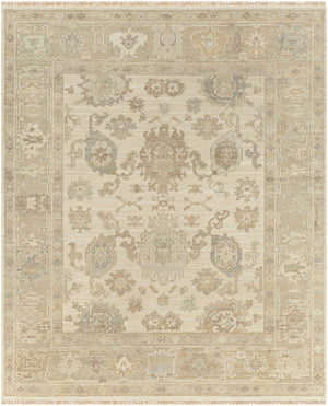 Antalya AAT-2304 9' x 12' Handmade Rug AAT2304-912  Brown, Beige, Light Blue, Metallic Silver, Light Brown Surya