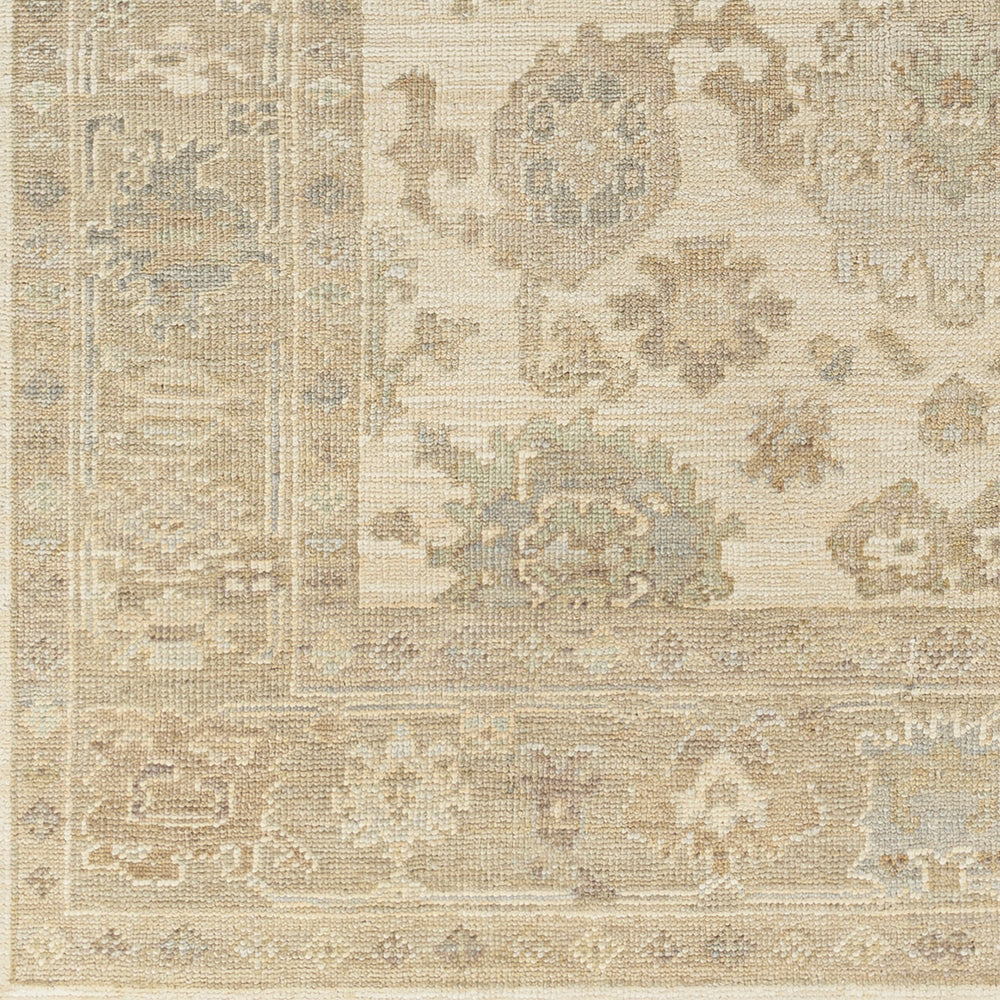 Antalya AAT-2304 9' x 12' Handmade Rug AAT2304-912  Brown, Beige, Light Blue, Metallic Silver, Light Brown Surya