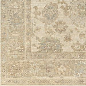 Antalya AAT-2304 9' x 12' Handmade Rug AAT2304-912  Brown, Beige, Light Blue, Metallic Silver, Light Brown Surya
