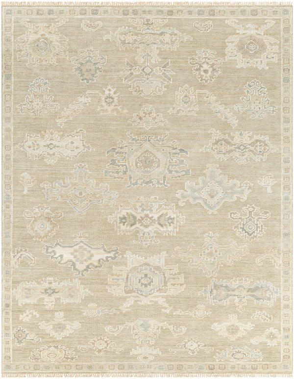 Antalya AAT-2305 9' x 12' Handmade Rug AAT2305-912  Light Brown, Sage, Gray, Olive, Metallic Silver, Off-White Surya