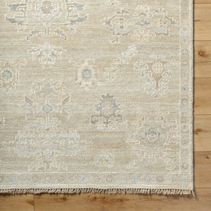 Antalya AAT-2305 9' x 12' Handmade Rug AAT2305-912  Light Brown, Sage, Gray, Olive, Metallic Silver, Off-White Surya