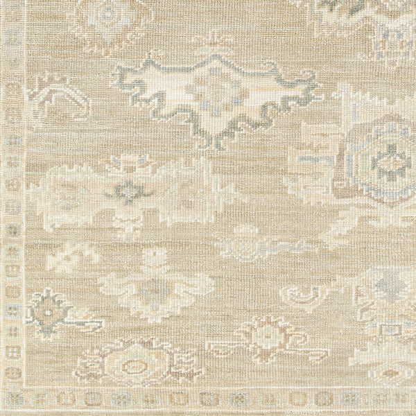 Antalya AAT-2305 9' x 12' Handmade Rug AAT2305-912  Light Brown, Sage, Gray, Olive, Metallic Silver, Off-White Surya