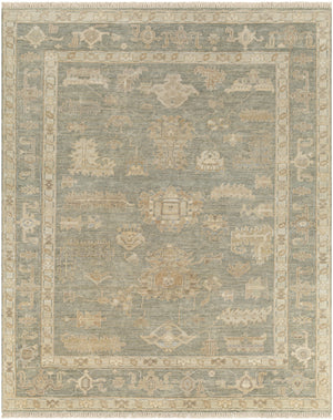 Antalya AAT-2306 9' x 12' Handmade Rug AAT2306-912  Brown, Beige, Light Blue, Metallic Silver, Light Brown Surya