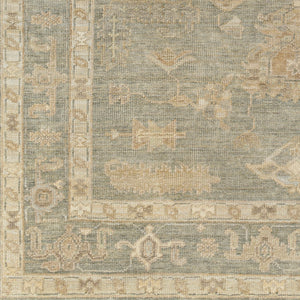 Antalya AAT-2306 9' x 12' Handmade Rug AAT2306-912  Brown, Beige, Light Blue, Metallic Silver, Light Brown Surya