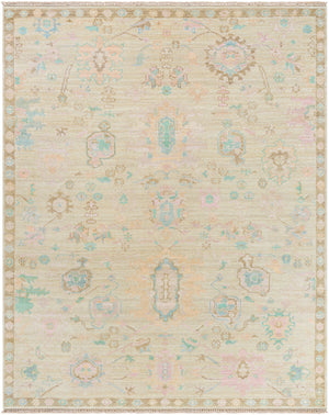 Antalya AAT-2307 8' x 10' Handmade Rug AAT2307-810  Denim, Dark Brown, Taupe, Blue, Medium Gray, Gray Surya