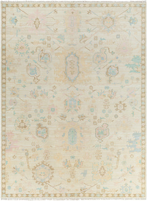Antalya AAT-2307 9' x 12' Handmade Rug AAT2307-912  Denim, Dark Brown, Taupe, Blue, Medium Gray, Gray Surya