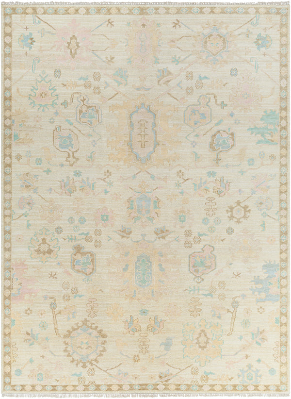 Antalya AAT-2307 9' x 12' Handmade Rug AAT2307-912  Denim, Dark Brown, Taupe, Blue, Medium Gray, Gray Surya