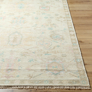 Antalya AAT-2307 9' x 12' Handmade Rug AAT2307-912  Denim, Dark Brown, Taupe, Blue, Medium Gray, Gray Surya