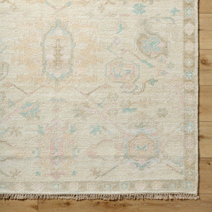 Antalya AAT-2307 9' x 12' Handmade Rug AAT2307-912  Denim, Dark Brown, Taupe, Blue, Medium Gray, Gray Surya