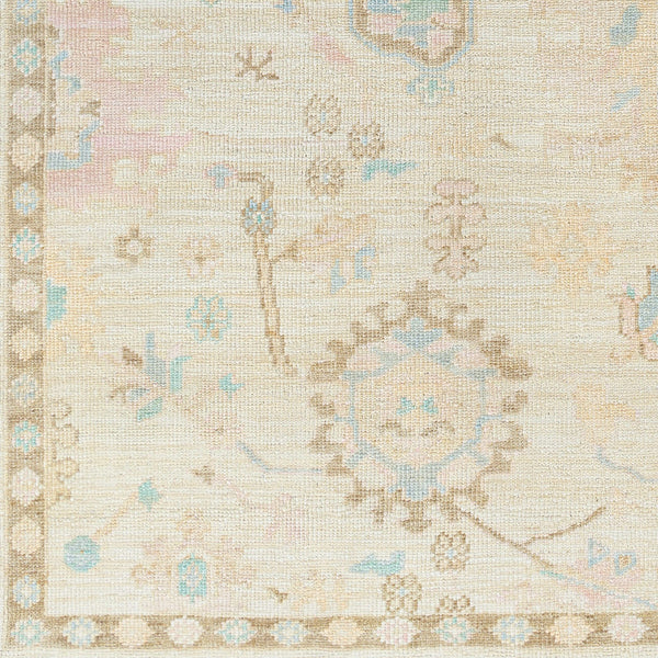 Antalya AAT-2307 9' x 12' Handmade Rug AAT2307-912  Denim, Dark Brown, Taupe, Blue, Medium Gray, Gray Surya