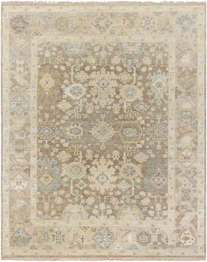 Antalya AAT-2312 8' x 10' Handmade Rug AAT2312-810  Olive, Light Brown, Taupe Surya