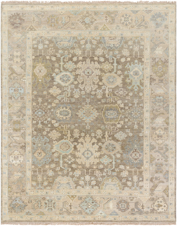 Antalya AAT-2312 8' x 10' Handmade Rug AAT2312-810  Olive, Light Brown, Taupe Surya