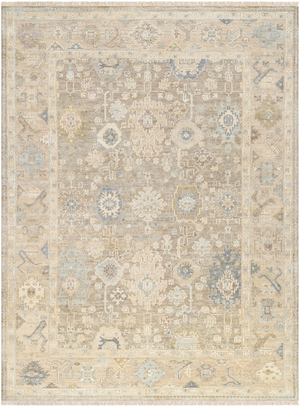 Antalya AAT-2312 9' x 12' Handmade Rug AAT2312-912  Olive, Light Brown, Taupe Surya