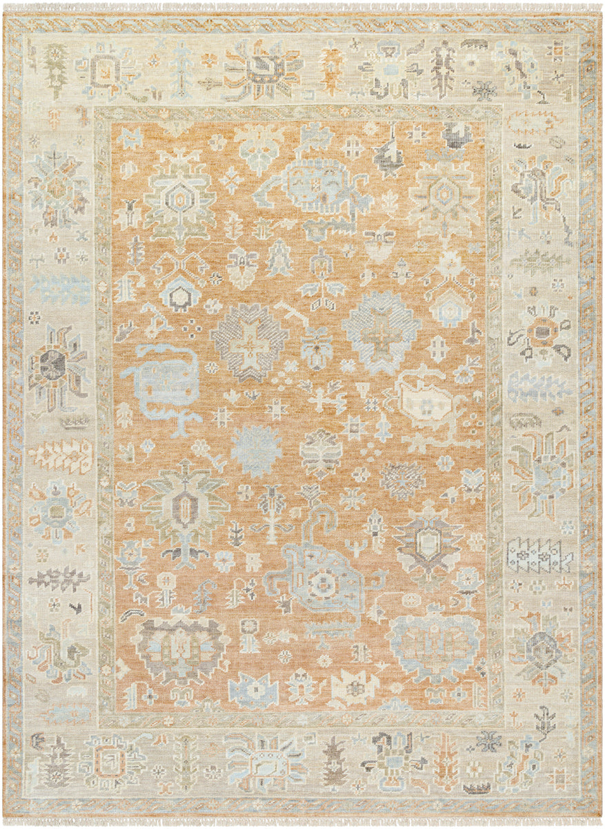 Antalya AAT-2313 9' x 12' Handmade Rug AAT2313-912  Tan, Brown, Light Olive Surya