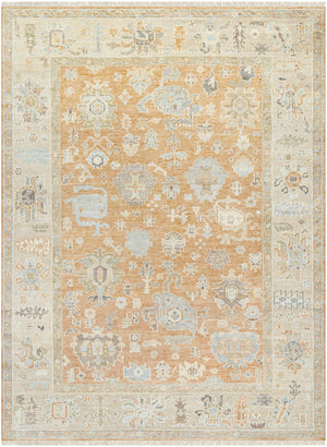 Antalya AAT-2313 9' x 12' Handmade Rug AAT2313-912  Tan, Brown, Light Olive Surya