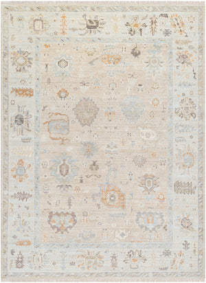 Antalya AAT-2314 9' x 12' Handmade Rug AAT2314-912  Light Brown, Dark Brown, Taupe, Beige Surya
