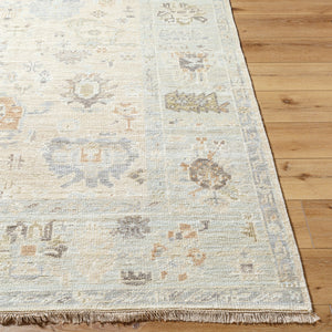 Antalya AAT-2314 9' x 12' Handmade Rug AAT2314-912  Light Brown, Dark Brown, Taupe, Beige Surya