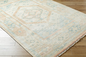 Anadolu AAU-2309 4' x 6' Handmade Rug AAU2309-46  Seafoam, Beige, Rose, Tan Surya