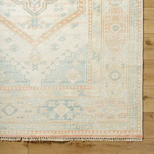 Anadolu AAU-2309 4' x 6' Handmade Rug AAU2309-46  Seafoam, Beige, Rose, Tan Surya