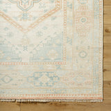 Anadolu AAU-2309 4' x 6' Handmade Rug AAU2309-46  Seafoam, Beige, Rose, Tan Surya