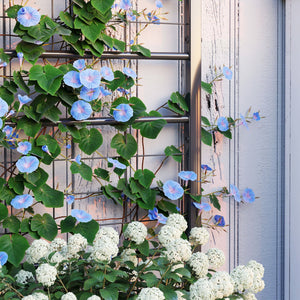 English Elm Outsunny Galvanized Steel Raised Planter with Built-in Trellis for Vertical Garden Growth W2225P485599