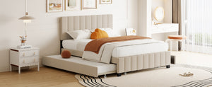 English Elm Queen Tufted Velvet Platform Bed with Storage Drawers and Pull Out Trundle Beige LP000714AAA-1