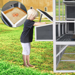 English Elm Chicken Coop Walk-in Cedar Structure with Nesting Boxes for Backyard Flocks W1850S00009