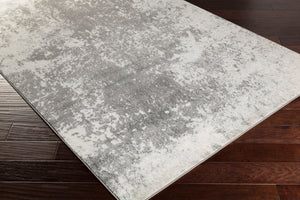 Livabliss Aberdine Collection Machine Woven Polypropylene Accent Rug for Modern Entryways Gray, Charcoal 2'2" x 3' ABE8013-223
