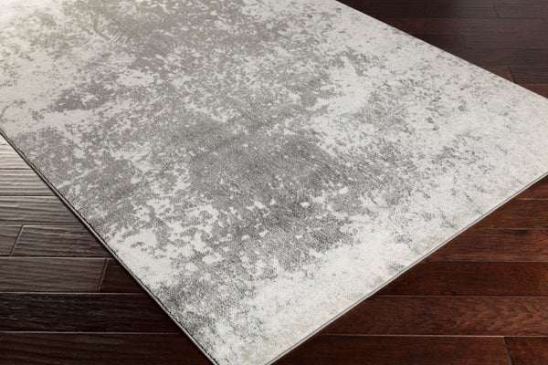 Livabliss Aberdine Collection Machine Woven Polypropylene Accent Rug for Modern Entryways Gray, Charcoal 2'2" x 3' ABE8013-223