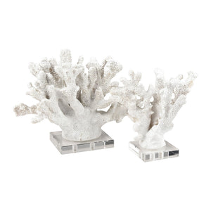 Atlas Coral Sculpture Set of 2 – Elegant Coastal Accents for Modern Décor, Unique Textures & Easy Care AC11203-01S