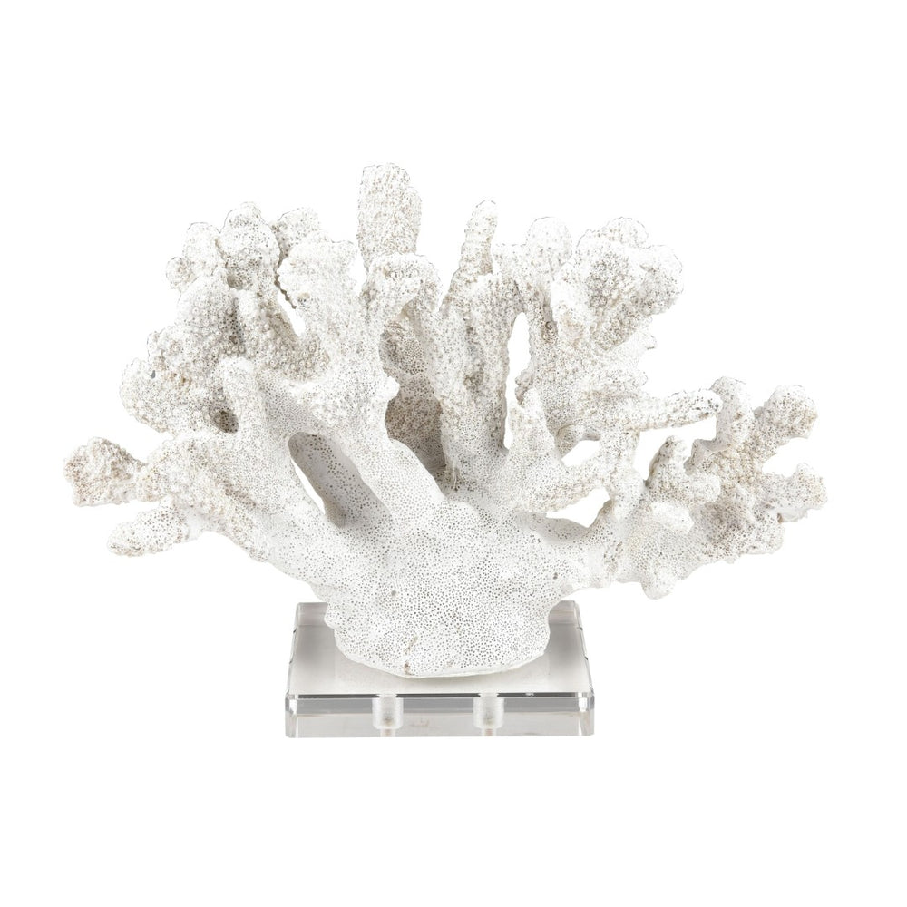 Atlas Coral Sculpture Set of 2 – Elegant Coastal Accents for Modern Décor, Unique Textures & Easy Care AC11203-01S